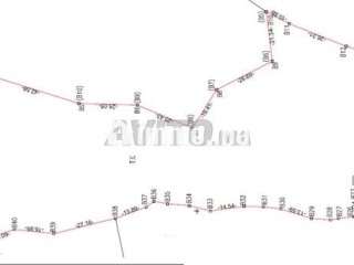 terrain-1-hectare-a-vendre-proche-marrakech