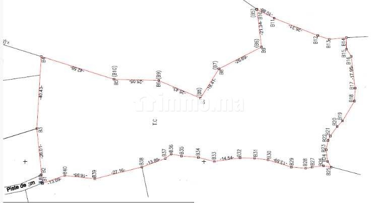 terrain-1-hectare-a-vendre-proche-marrakech-big-0