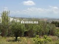 maison-de-campagne-et-terrain-titre-small-6