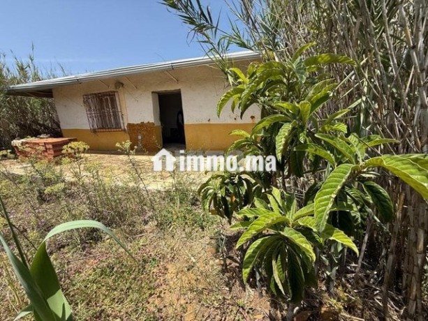 maison-de-campagne-et-terrain-titre-big-0