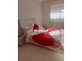 appt-une-ch-salon-meuble-small-3