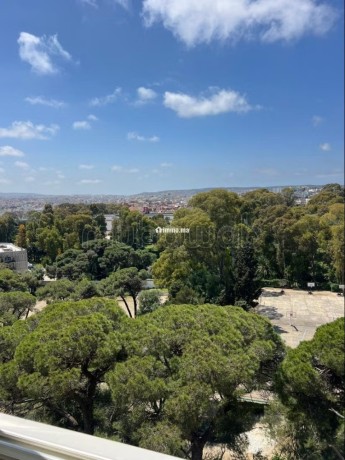 location-appartement-vide-bien-ensoleille-a-ibrie-big-11