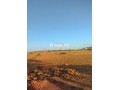 ktaa-ardy-llbyaa-baldory-alnathor-small-2