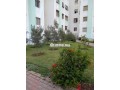 shk-mfrosh-llkraaa-alyomy-bsydy-momn-alaaaylat-fkt-small-0