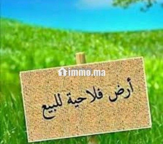 terrain-de-15-hectares-big-0