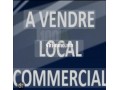 magasin-a-vendre-small-0