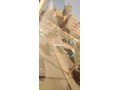 mkaz-llkraaa-small-1