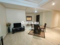 appartement-terrasse-meuble-les-princesses-small-4