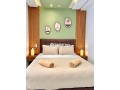 superbe-duplex-meuble-en-location-small-19
