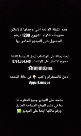 shk-llkraaa-mokaa-astratygy-big-2