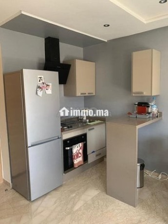 studio-meuble-avec-terasse-a-bourgogne-big-6