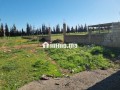 terrains-a-vendre-small-6