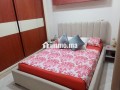 brtma-mfrsh-llkraaa-alyomy-aollshhr-bost-almdyn-small-0