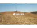 ter-titre-5ha-cloture-khemisset-small-1