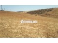 ter-titre-5ha-cloture-khemisset-small-3