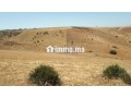 ter-titre-5ha-cloture-khemisset-small-4