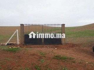 ter-titre-5ha-cloture-khemisset