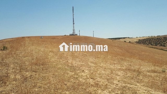 ter-titre-5ha-cloture-khemisset-big-1