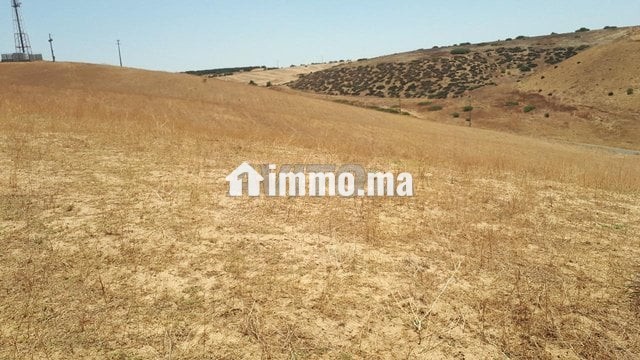 ter-titre-5ha-cloture-khemisset-big-3