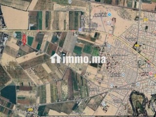 terrain-3-hectares-a-sidi-slimane