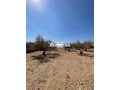 149896-vente-terrain-a-marrakech-route-dourika-small-0