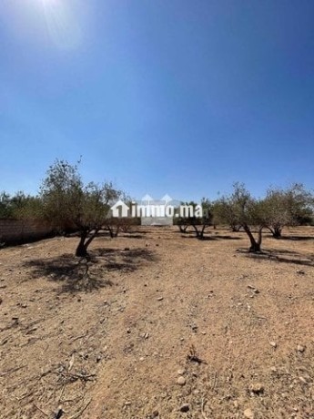 149896-vente-terrain-a-marrakech-route-dourika-big-0