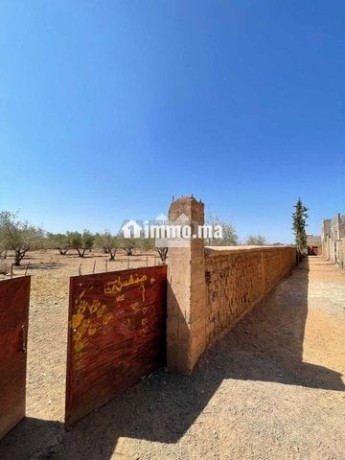 149896-vente-terrain-a-marrakech-route-dourika-big-1