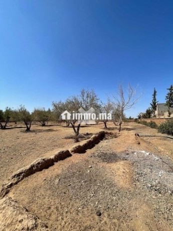 149896-vente-terrain-a-marrakech-route-dourika-big-2