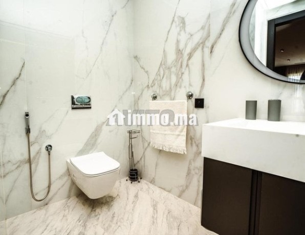 bel-appartement-meuble-en-location-big-7