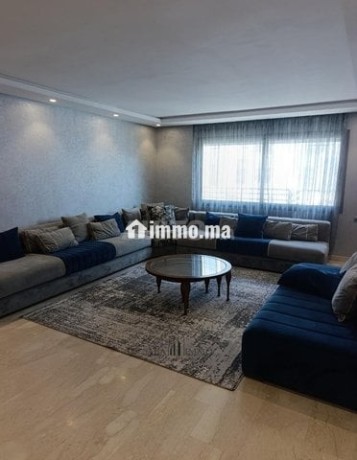 grand-appartement-meuble-3-chambres-salon-big-1