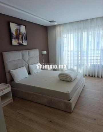grand-appartement-meuble-3-chambres-salon-big-3