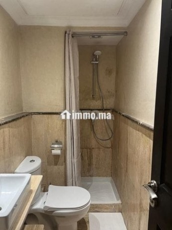 appartement-chic-et-propre-big-5