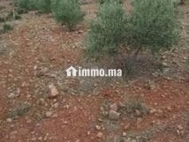 terrain-agricole-a-vendre-7200-metres