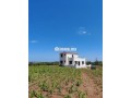 terrain-et-maison-a-vendre-a-azemmour-small-0