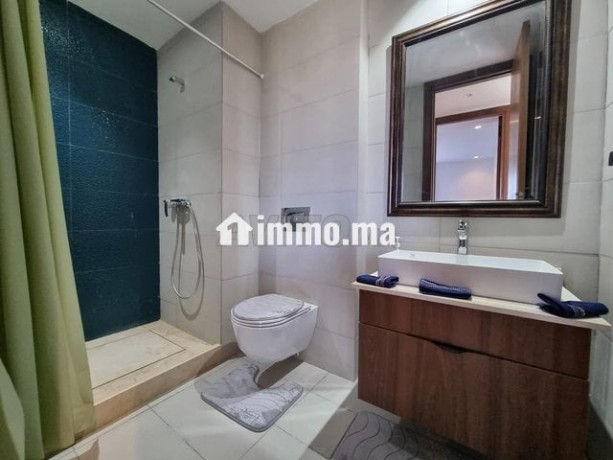 appartement-meuble-a-louer-106-m2-a-cfc-big-18