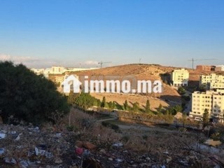 ard-aadly-balbrans-krb-mht-alokod-total