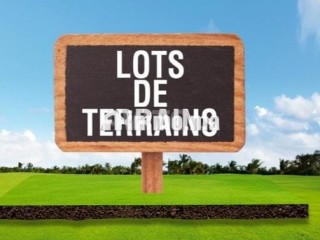 lots-pour-maisons-r2-a-had-soualem-de-120-a-140m2