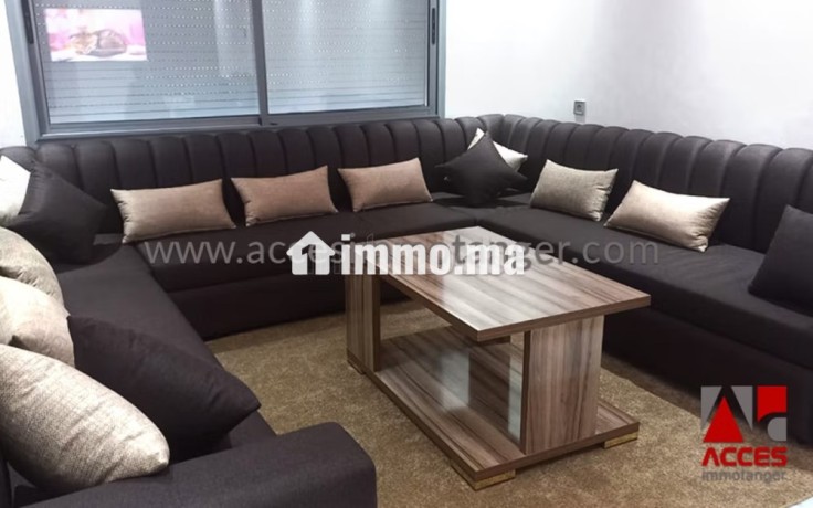 appartement-meuble-en-location-au-centre-big-1