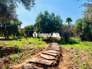 a-vendre-ferme-maison-de-9000-m2-rte-ourika-km4