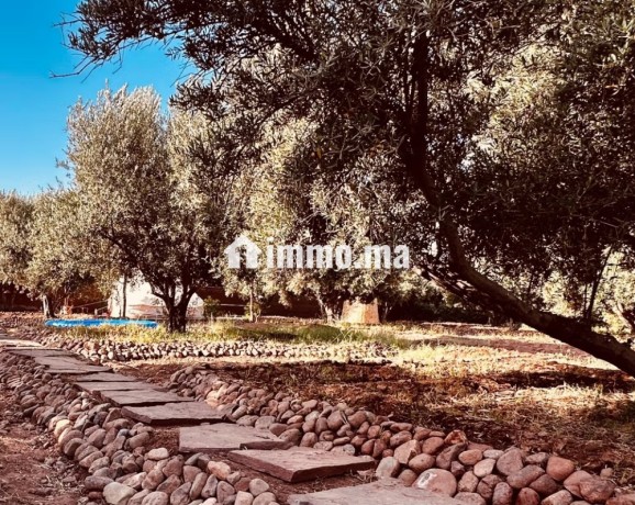 a-vendre-ferme-maison-de-9000-m2-rte-ourika-km4-big-1