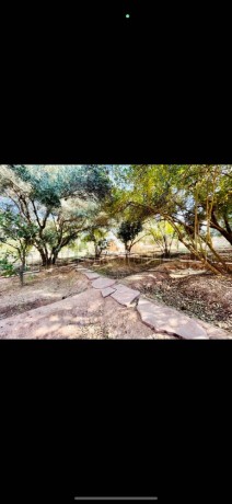 a-vendre-ferme-maison-de-9000-m2-rte-ourika-km4-big-4