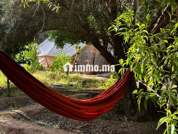 a-vendre-ferme-maison-de-9000-m2-rte-ourika-km4-big-6
