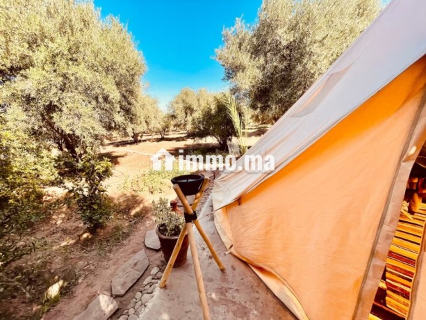 a-vendre-ferme-maison-de-9000-m2-rte-ourika-km4-big-7