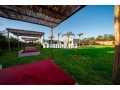 splendide-villa-a-vendre-a-palmerie-small-2