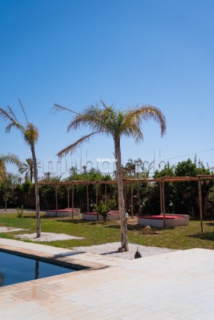 splendide-villa-a-vendre-a-palmerie-big-5