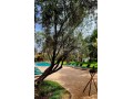 villa-a-vendre-small-0