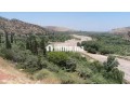 terrain-titre-a-vendre-small-5