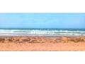 arady-llbyaa-tryk-asfysoyr-small-0