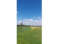 3-hectares-a-vendre-dans-la-region-dal-arjat-small-0