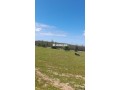 3-hectares-a-vendre-dans-la-region-dal-arjat-small-1